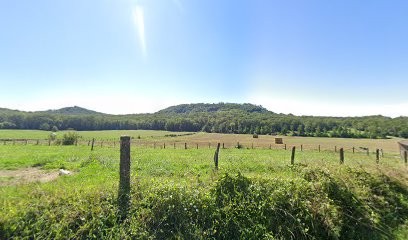 La Galerie De L'Abbaye, Magasin de Thé à Beaulieu-en-Argonne
